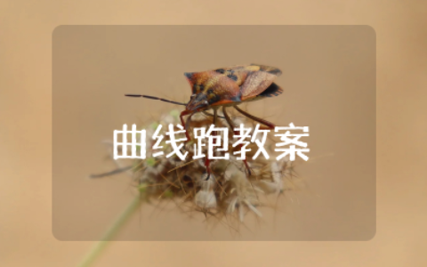 户外活动曲线跑教案 曲线跑教学设计