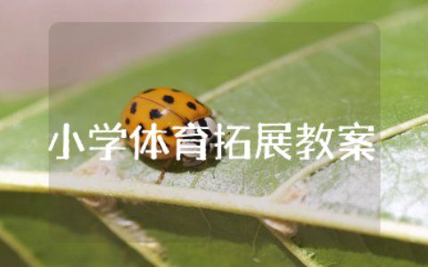 小学体育拓展教案 小学生体育活动教优质教案