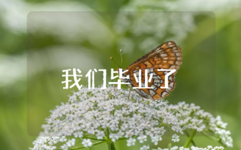 《我们毕业了》大班社会领域教案范文 《我们毕业了》一等奖教学设计