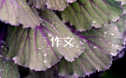 辩论赛《不可以说谎和可以说善意的谎言》范文