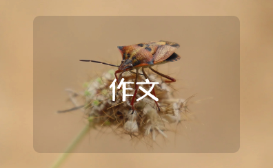 《中国武术和中国文化的关系》优秀范文作文分享