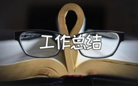 真正的工作总结 个人工作总结及心得通用