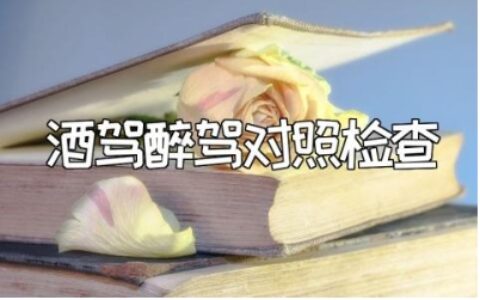 酒驾醉驾对照检查材料汇总 酒驾醉驾自我剖析报告