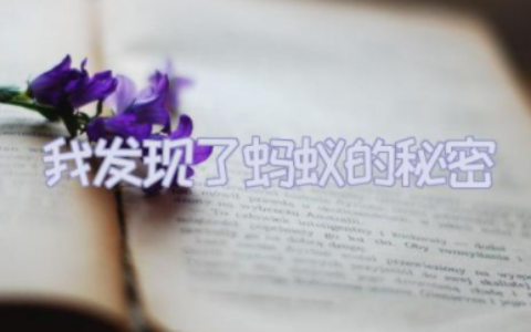 我发现了蚂蚁的秘密500字作文精选16篇