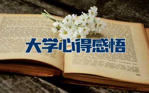 大学心得感悟简短范文  大学心得感悟精选大全