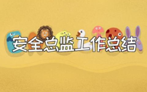 2023年安全总监工作总结范文 安全总监年度述职工作报告