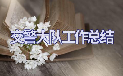 2023年交警大队工作总结报告 交警大队事故中队工作总结