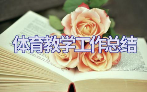 2023年体育教学工作总结报告 体育与健康全年教学工作计划