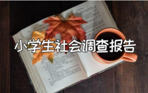 2023年小学生社会调查报告范文大全 小学综合实践报告如何写