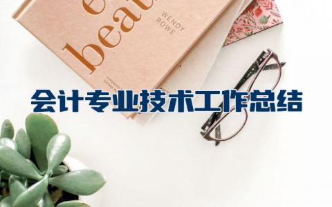 会计专业技术工作总结范文大全  会计专业技术工作总结报告精选