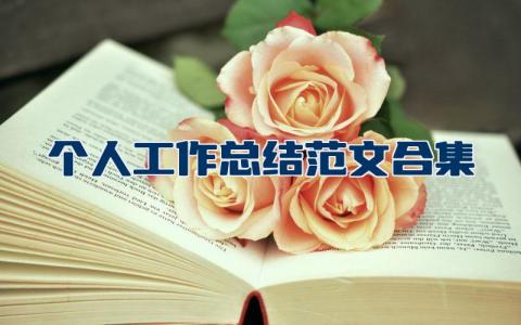个人工作总结范文合集模板 工作总结汇报材料