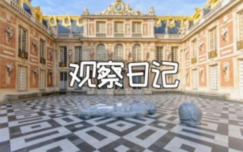 三年级上薄荷叶的观察日记范文