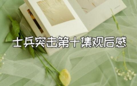 士兵突击第十集观后感 士兵突击的启示与感想