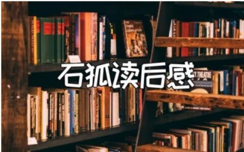 《石狐》读后感精选范文 《石狐》的阅读心得体会合集