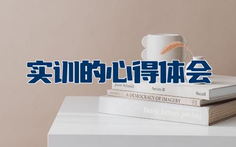 实训的心得体会