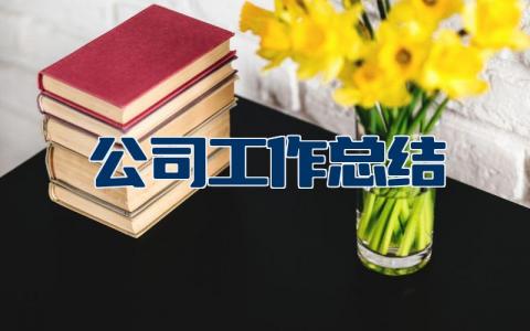 公司工作总结及计划 公司工作总结通用合集