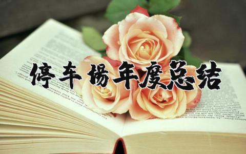 2023年停车场年度总结报告范文 停车场管理工作汇报材料