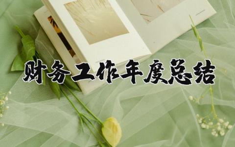 2023年财务工作年度总结及工作计划 财务年终考核工作总结