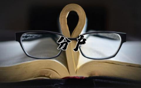 分户申请书最新范文 分户申请书范本模板