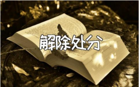 解除处分申请书精选范本 解除处分个人申请表通用模板