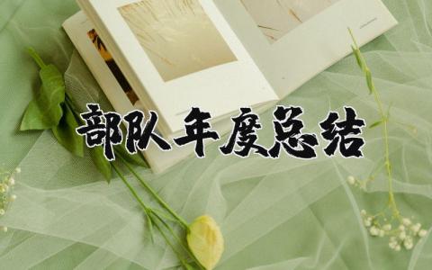 部队年度总结报告个人范文 2023部队年度总结述职报告