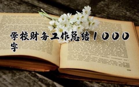 学校财务工作总结1000字2024 学校财务年度工作总结及工作计划 (13篇）