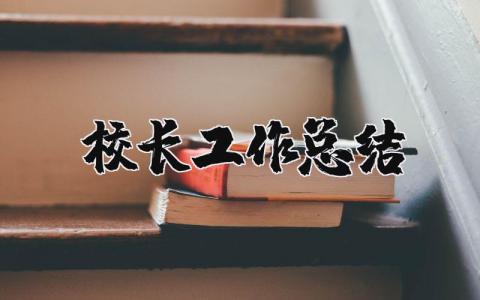 2024校长工作总结范文 2024校长工作总结模板 (9篇）
