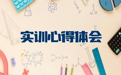 实训心得体会