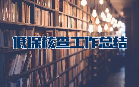 低保核查工作总结报告范文 低保专项整治工作总结开展情况