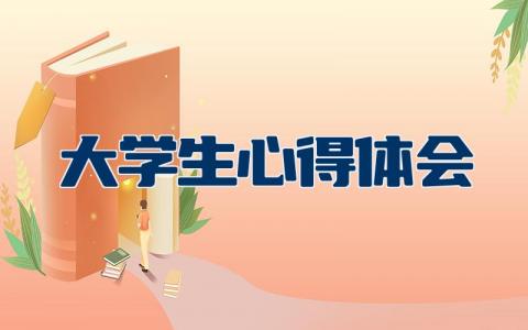 大学生心得体会