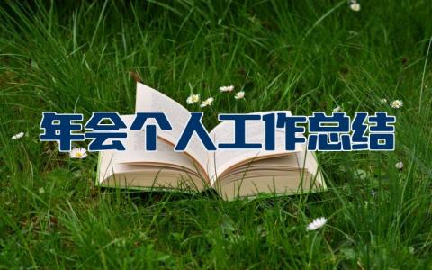 年会个人工作总结