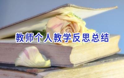 教师个人教学反思总结
