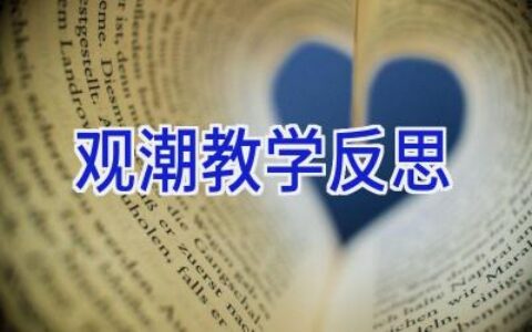 观潮教学反思