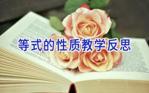 等式的性质教学反思