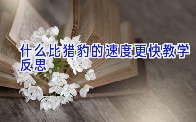 什么比猎豹的速度更快教学反思