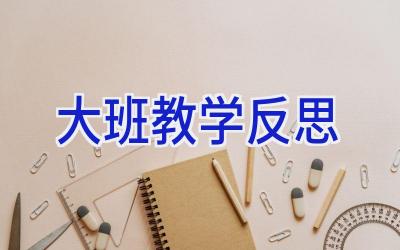 大班教学反思