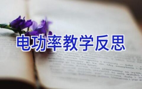电功率教学反思
