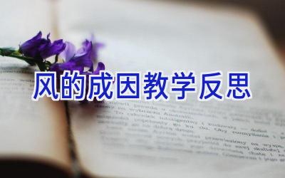 风的成因教学反思