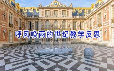 呼风唤雨的世纪教学反思