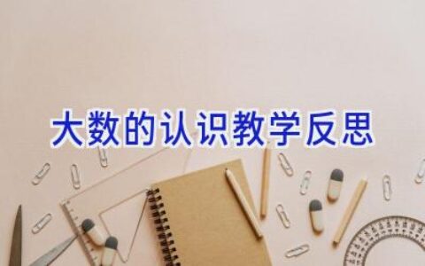 大数的认识教学反思