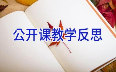 公开课教学反思