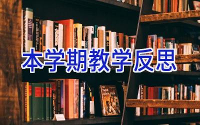 本学期教学反思