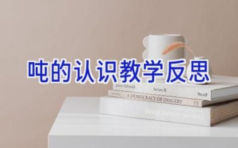吨的认识教学反思