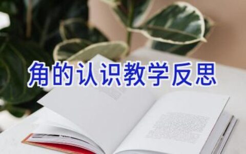 角的认识教学反思