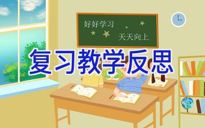复习教学反思
