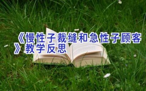 《慢性子裁缝和急性子顾客》教学反思