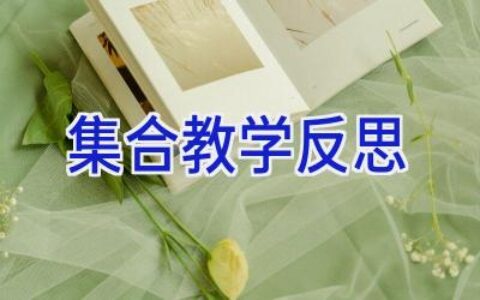 集合教学反思