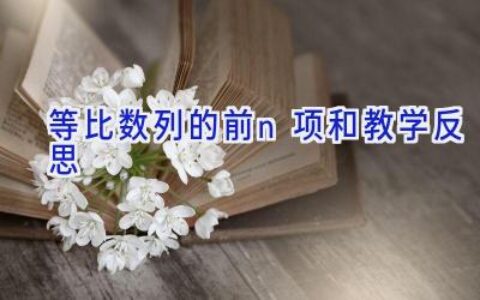 等比数列的前n项和教学反思