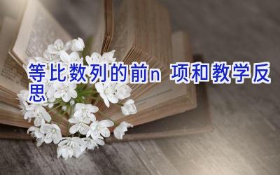 等比数列的前n项和教学反思