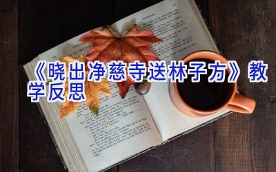 《晓出净慈寺送林子方》教学反思